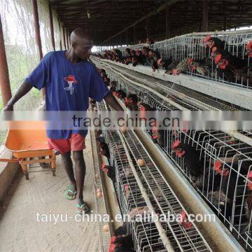 TAIYU Chicken Farm Chicken Cage for Sale