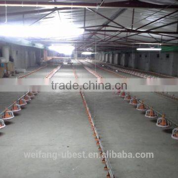 Broiler poultry shed design