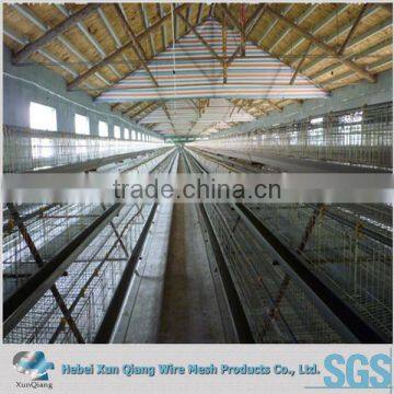 khigh quality poultry chicken cage/uganda layer farm chicken cage for sale