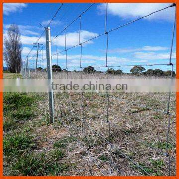 Livestock Fence