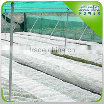 Knitted Plastic Anti Insect Net for Prevention Cross Pollination photo-3