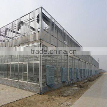 vegetable greenhouse polycarbonate sheet fim