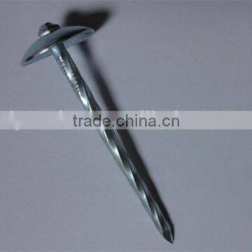 Best price Umbrella Head smooth plain Shank Roofing Nail made in china