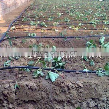 pe Material Drip Irrigation Pipe With Diameter 16mm