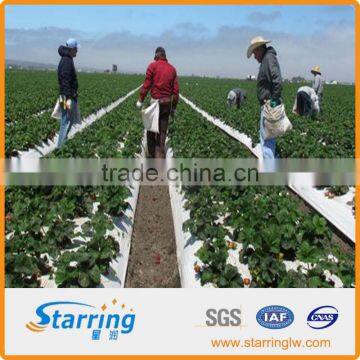 lanscape border woven sheet