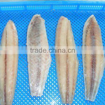 Frozen Mahi-mahi and Coryphaena Hippurus Fillet photo-5