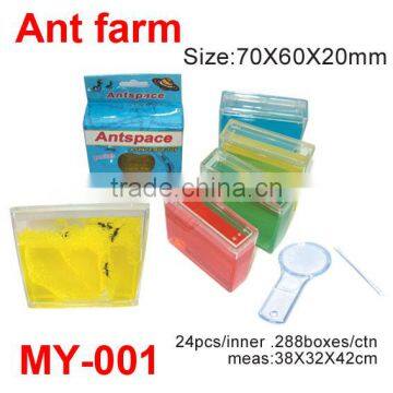 Colorful Plastic Ant Farm Toys