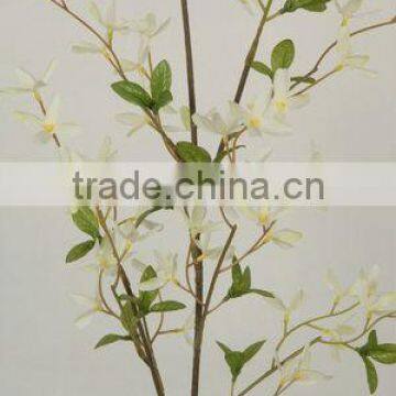 27068P forsythia temple florist