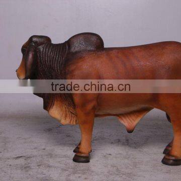 Definitive Brahman Looking Right photo-3