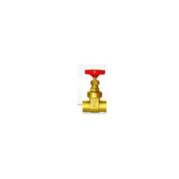 BRASS ENDS FEED GATE VELVE C*C (BRASS FITTINGS)