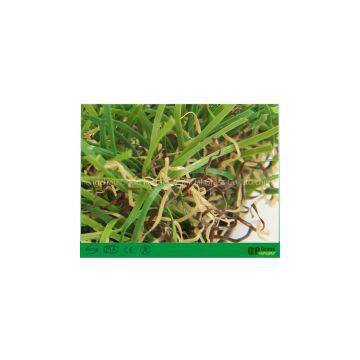 green carpet garden turf plastic grass squares