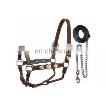 leather horse halters with chain leads