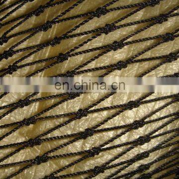 Anti bird Net/bird net trap/agricultural vineyard anti bird net