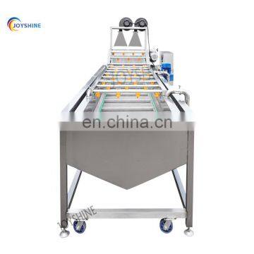 Vegetable Washer for Sale Vegetable Washing Machine Commercial With Factory Price photo-4