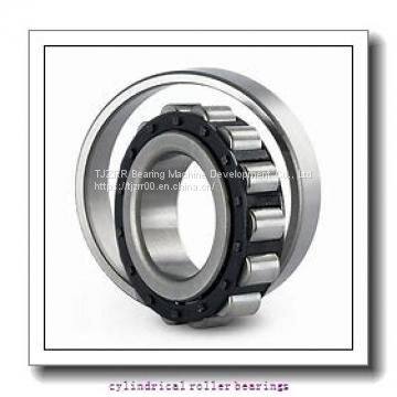 Fersa F19067 cylindrical roller bearings