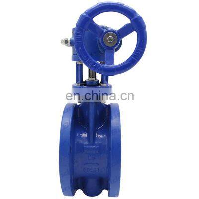 Bundor 4 Inch Turbine Double Eccentric Flange Butterfly Valve