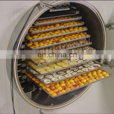 Industrial Lyophilizer Machine Lyophilization Machine for Food