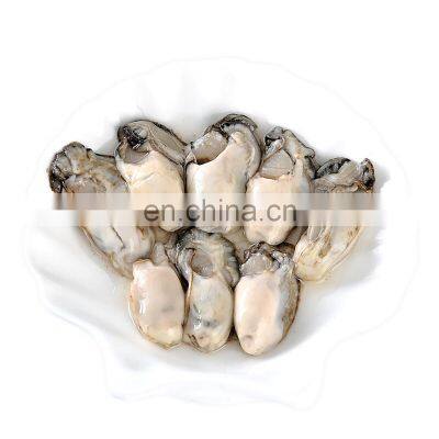 IQF Frozen Oyster Meat photo-5