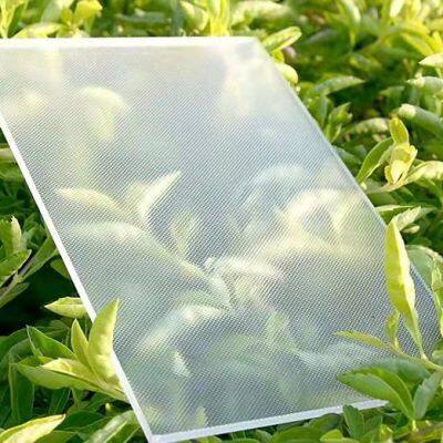 Acid Etching Glass for Shower Doors Decoration Glass Privacy Glass photo-5