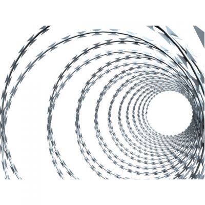 Stainless Steel 304 Safety Fence Wire Suitable for Prisons/Walls/Protection Razor Barbed Wire Coil