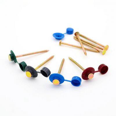 Clous de toiture galvanisés et sûrs pour tôles métalliques - Tige en acier d'épaisseur 1,5 mm