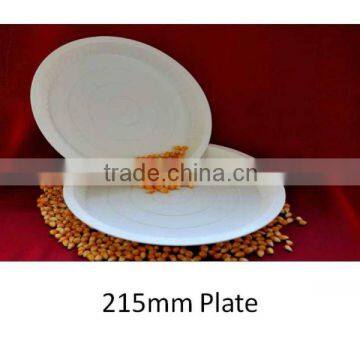 Biodegradable Plate