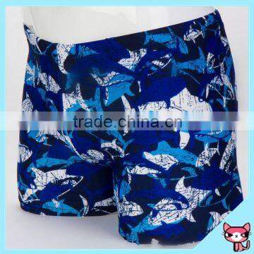 Dolphins printed on man swimwear