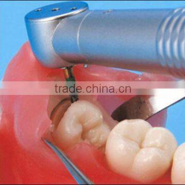 Oral Surgery Jaw Model photo-2