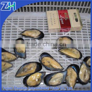 Frozen cooked bule mussels meat half-shell