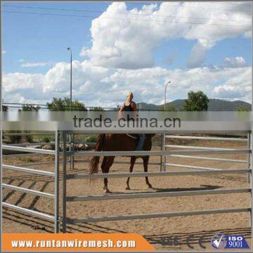 Australia hot dipped galvanized horse fence panel In Farm ( Factory Trade Assurance)