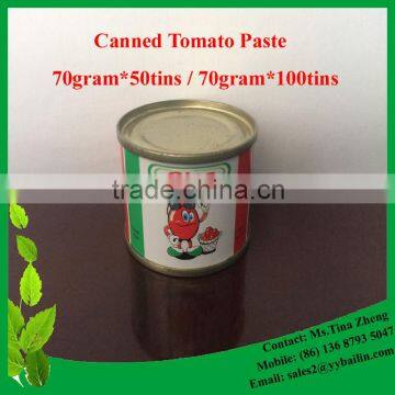 70gram Tinned Tomato Paste