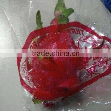 FRESH DRAGON photo-2