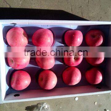 Farm fuji apple fresh fuji apple China fuji apple Product