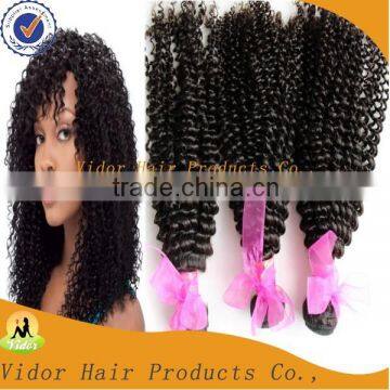 Uprocessed Brazilian Virgin Afro Kinky Curly Hair Extenion