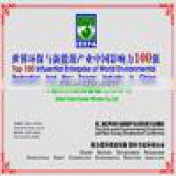 Top 100 Influential of World Environment Protectio