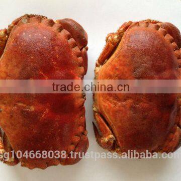 FROZEN BROWN CRAB - CANCER PAGURUS