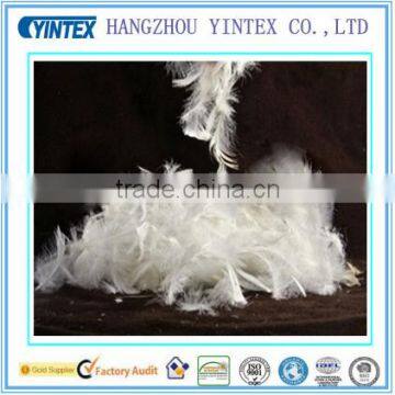 Good Quality 2-4cm Washed White Duck Feather