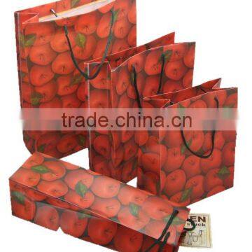 Fashion plastic shopping bag