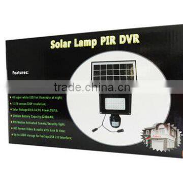 Green Lighting Hidden Camera DVR PIR Motion Detection Factory Price Solar Lamp Camera