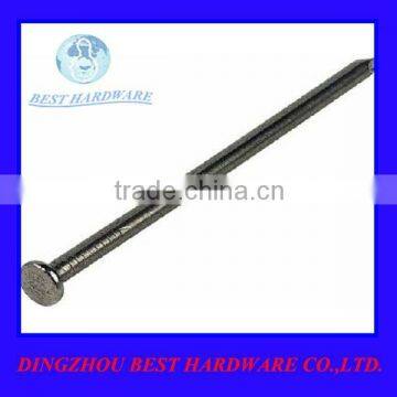 common iron round flat head nail