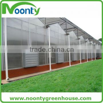 Polycarbonate Greenhouse