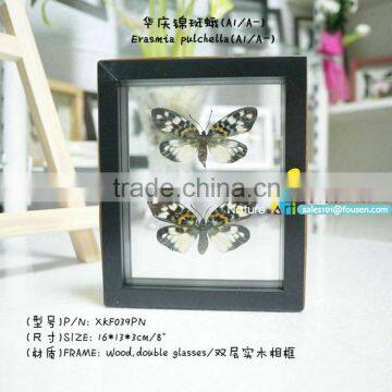 FOUSEN(039) Nature& Art Natural Gifts and Crafts Glass Handicraft