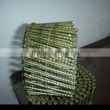 Galvanized screw shank coil nails