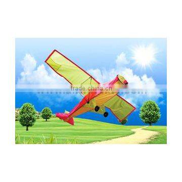 Airplane 3D Kite