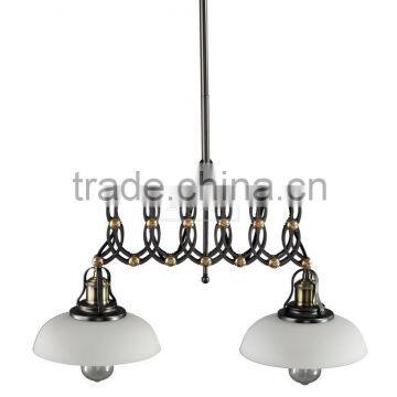 Machine Manufacturer Modernist Ceiling Light Double Light Adjustable Arm Hanging Light photo-3