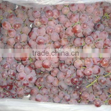 Fresh Style and Grapefruit Type Fresh Fruit From China photo-5