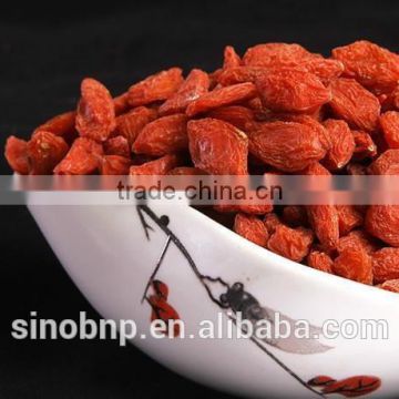 BNP Supply 100% Natural High Quality Goji Berry Juice Powder