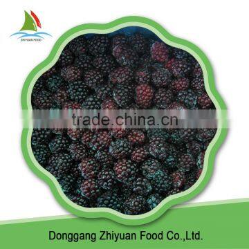 Frozen Blackberry photo-3