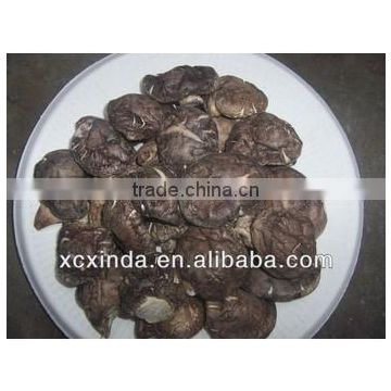 dried mushroom,smooth mushroom,black mushroom