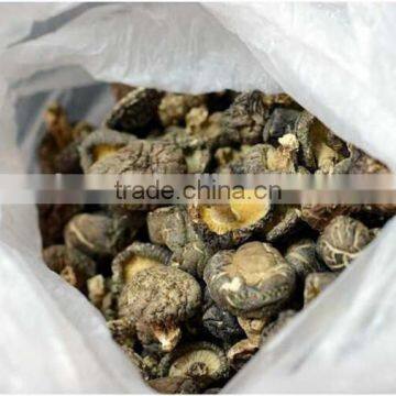 Factory Direct Sale Export Mushroom Price Dried Shitake photo-4